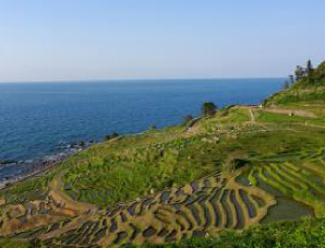 能登の里山里海