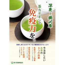 夏の免疫力向上に！みなさま、水出し緑茶の季節です。